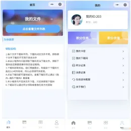 ERMEB云盘充值卡发行小程序系统源码-小文资源网