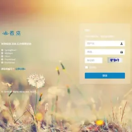 若依管理系统最新版：基于SpringBoot的高效权限管理系统-小文资源网