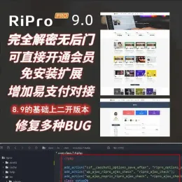 RiPro 9.0 WordPress主题：全解密无后门版 - 提升博客安全与性能-小文资源网