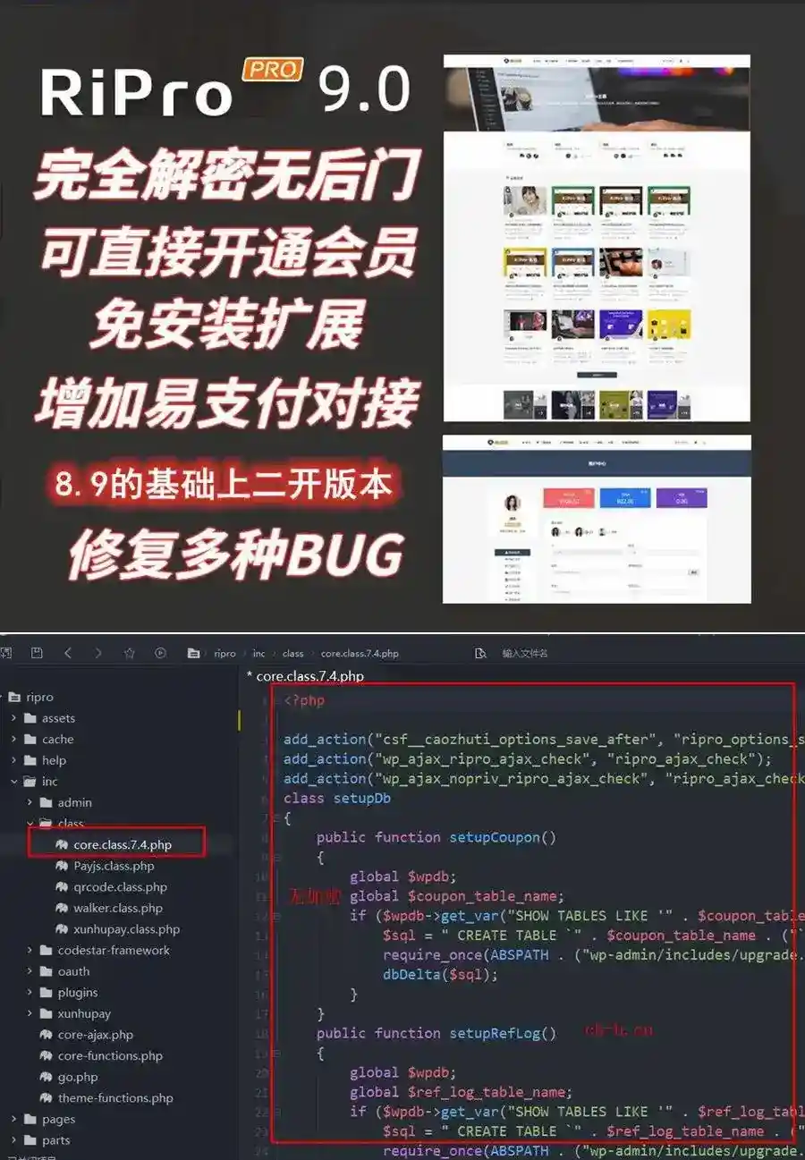 图片[1]-RiPro 9.0 WordPress主题：全解密无后门版 - 提升博客安全与性能