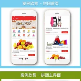购物拼团小程序源码 - 拼团商城商业解决方案-小文资源网
