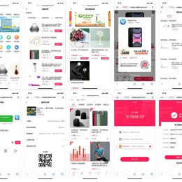 完整前后端全开源微商城电商购物系统源码