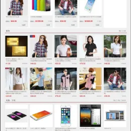 TinyShop电商系统 V3.1.1，商品多种排序方式+插件支付
