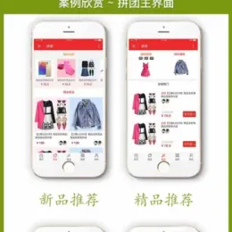 购物拼团商城源码-精仿拼夕夕小程序开发-小文资源网