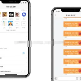 即时通讯IM系统：红包转账朋友圈视频教程-小文资源网