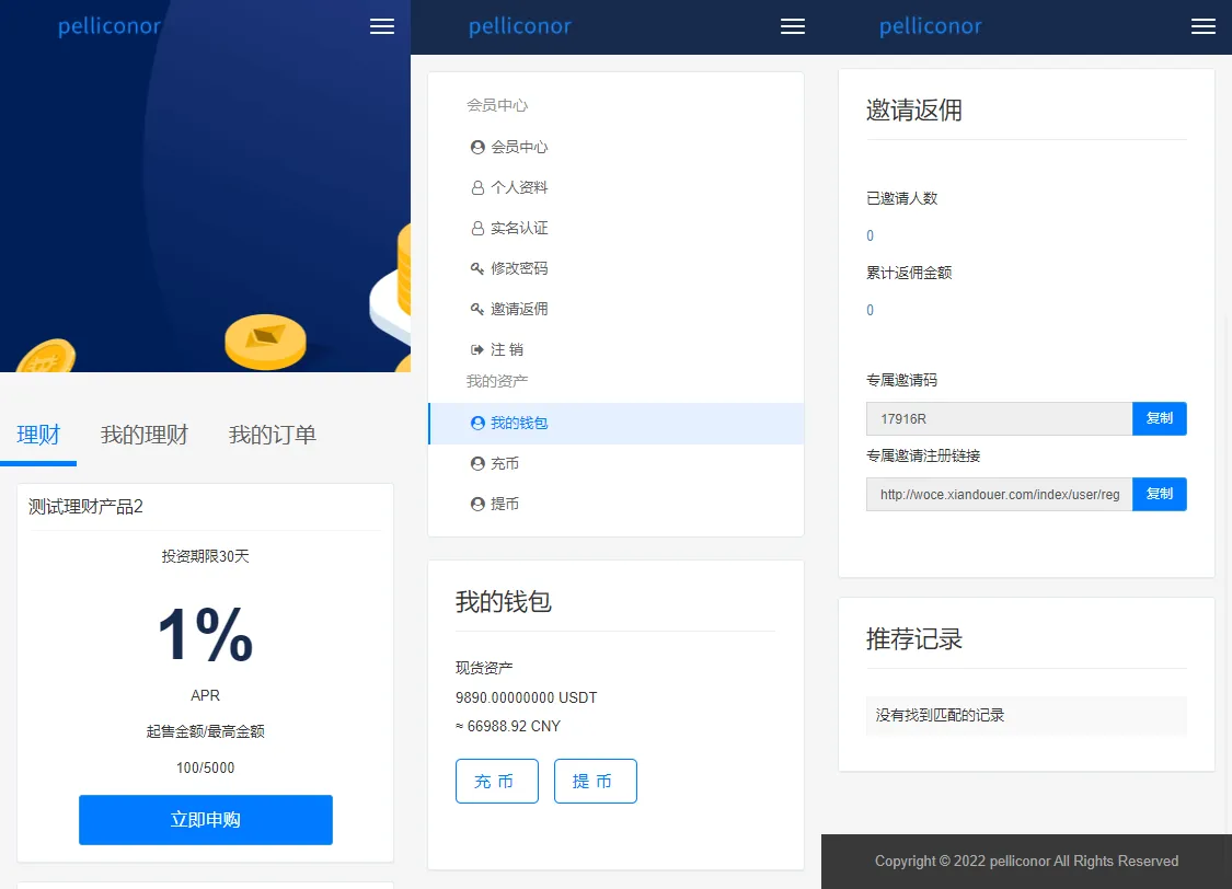图片[3]-双语版USDT理财系统源码：虚拟锁仓与定活期投资