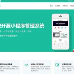 开源头条微信抖音小程序管理系统源码-小文资源网