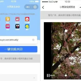 抖音去水印小程序源码-独立版无后台-小文资源网