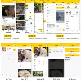 校园流浪猫信息记录分享小程序源码-小文资源网