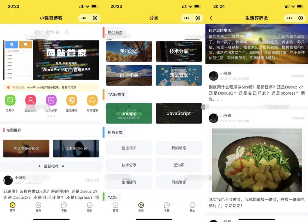 图片[1]-WordPress网站管家小程序源码下载