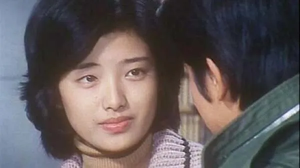 [1975][日本][血疑][29集全][日语中字][MP4每集约 120M][标清 480p][山口百惠版][百度盘]