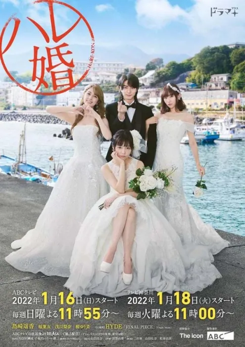 [剧情] [2022][日本][后宫婚][日语中字][9集全][HD-MP4每集约250M][720p][百度盘]