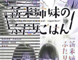 2019 日本神剧《新手姐妹的双人餐桌》12 集全，日语中字，720p 高清，百度网盘资源-小文资源网