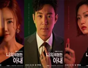 2020 韩国神剧《我的危险妻子》16 集全集，韩语中字 720p，850M/集百度网盘资源-小文资源网