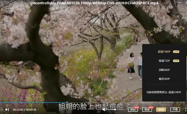 韩剧《任意依恋》全20集(金宇彬主演)高清1080P/韩语中字/视频合集【百度云网盘下载】