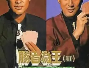 《1993 年香港经典之作<胜者为王 3>国粤中字 30 集 24.70GB 百度网盘资源》-小文资源网