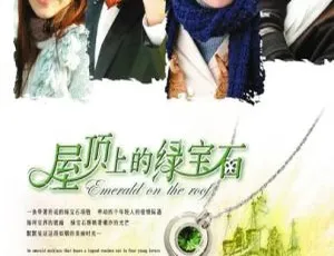 《2006 年香港经典之作<屋顶上的绿宝石>霍建华孙俪领衔 国粤中字 30 集 17.80GB 百度网盘资源》-小文资源网