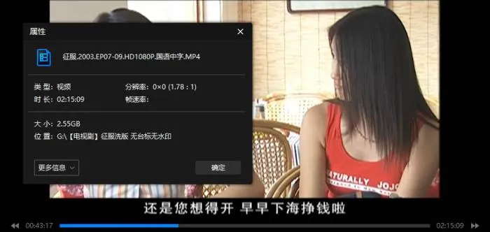 国产剧《征服》全20集(孙红雷主演)高清/国语中字/视频合集【百度云网盘下载】