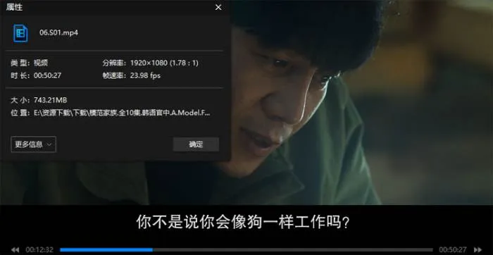 韩剧《模范家族》全10集(金振宇执导)高清/韩语官中/视频合集【百度云网盘下载】