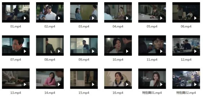 韩剧《夫妻的世界》全16集+特辑(超清720P)韩语中字视频【百度云网盘下载】