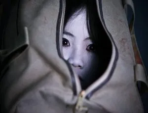 《咒怨》13 部恐怖电影（2003 - 2020）高清合集 英语/日语中字 20.09GB 百度云网盘下载