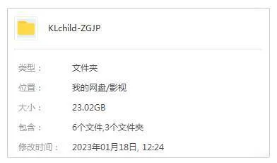 主题系列《中国禁片精选集》21部(23.02GB)视频合集【百度云网盘下载】