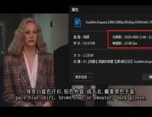 《警探哈里/肮脏的哈里》1-5 部全集：华纳兄弟出品高清 1080P 英音中字 百度云网盘下载-小文资源网