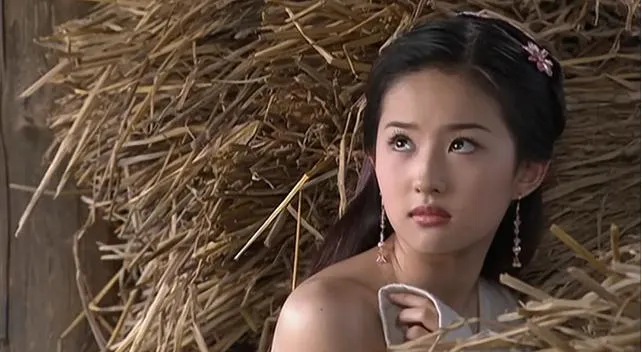 [2003][中国大陆]《天龙八部》[15.63GB][百度云]