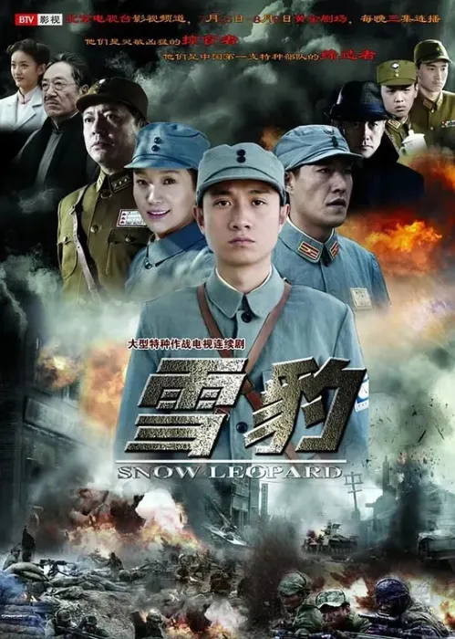 [2010][大陆][雪豹][文章/陶飞霏][40集][国语中字][44.32GB][百度网盘]