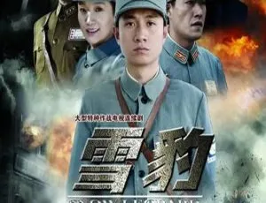 《2010 大陆经典剧作<雪豹>：文章、陶飞霏领衔 40 集全 44.32GB 国语中字 百度网盘》-小文资源网