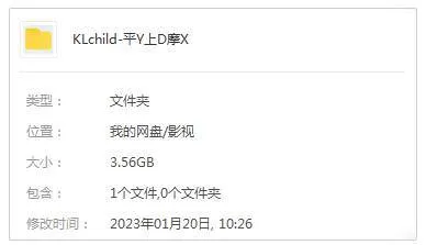 国产剧《平原上的摩西》全6集(张大磊执导)高清/国语中字/视频合集【百度云/阿里云网盘下载】