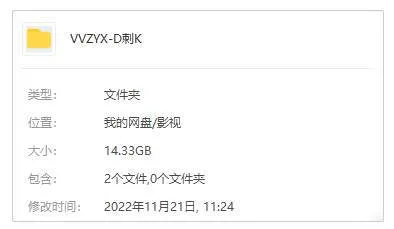 国产剧《大刺客(1997)》全35集(杨锦泉执导)国语中字/视频合集【百度云/阿里云网盘下载】