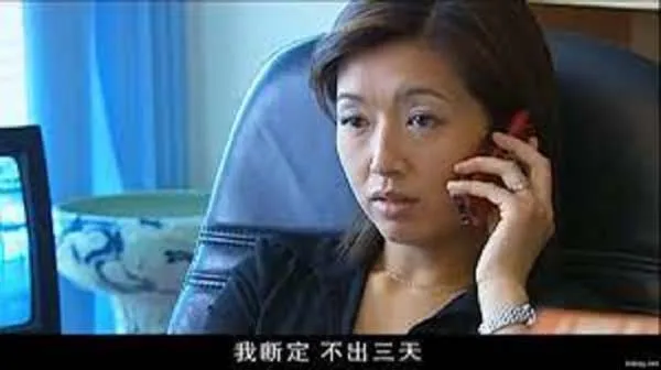 [剧情] [2003][大陆][征服][20集全][国语中字][HD-MP4共约 16.3G][720p][百度盘]