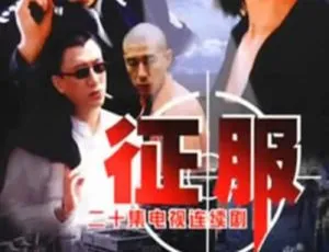 《2003 大陆经典剧20 集全 720p 高清 国语中字 16.3G 百度盘分享》