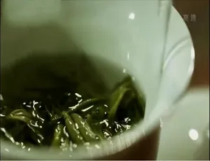 《黔茶密码 2020：探秘黔茶的神秘之旅》-小文资源网