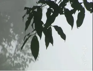 《茶马古道》精彩纪录片：720P 画质，6 集，韩语/国语配音配中文字幕，百度网盘资源-小文资源网