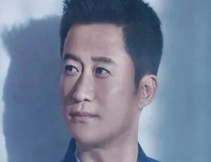 《吴京 20 部国语影视作品合集，百度云网盘下载资源》