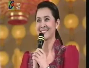 1993 年 CCTV 减灾扶贫创明天震撼义演晚会[RMVB][376M][百度盘]-小文资源网