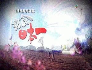 《2011 香港劲食日本一 全 10 集 粤语 简繁字 MKV 18G 百度盘资源分享》-小文资源网
