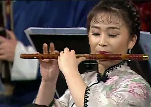 [1998][中国][1998维也纳金色大厅虎年春节中国民族音乐会-中央民族乐团][DVD_MP4][410M][百度盘]