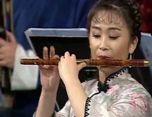 1998 年维也纳金色大厅虎年春节中央民族乐团震撼音乐会 DVD_MP4 百度盘 410M 分享-小文资源网