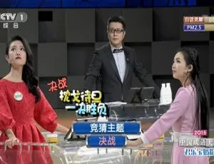 《2015 内地 CCTV 科教：震撼呈现中国成语大会第二季（全 12 期 HD 40G 百度盘）》-小文资源网