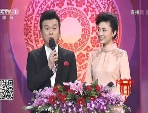 《2015 内地精彩！CCTV 中国谜语大会第一季 3 期全，HD 画质 10G 百度盘分享》-小文资源网