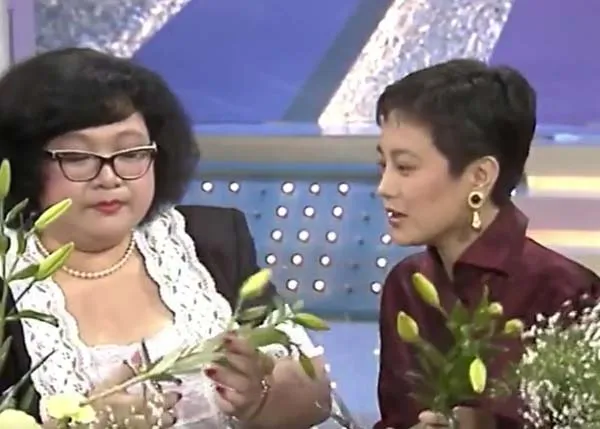 [1991][ATV][肥趣电视台][粤语无字][13集全_每集约600mb][亚视下载源码_TS][沈殿霞_卢海鹏][百度盘]