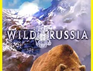 《野性俄罗斯 Wild Russia》英文动画：儿童教育必备，全 6 集英语版，3.2GB 百度网盘资源-小文资源网