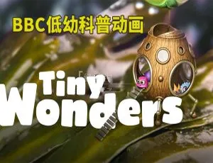 《Tiny Wonders 小奇迹：精彩英语动画全二季 20 集，892M 资源百度网盘分享》