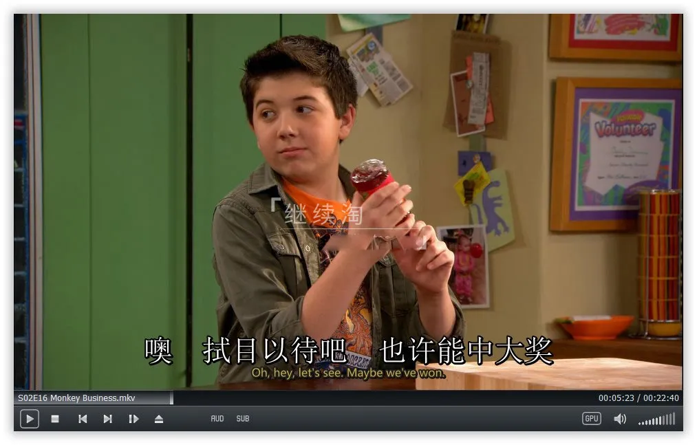 [英语动画]《查莉成长日记Good Luck Charlie》[英文字幕][全4季共101集][61.53G][百度网盘]
