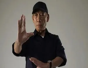 袁和平经典四部：《奇门遁甲》《鬼马天师》《天师撞邪》《阴阳奇兵》高清粤语中字百度云网盘下载[13.03GB/MKV]-小文资源网