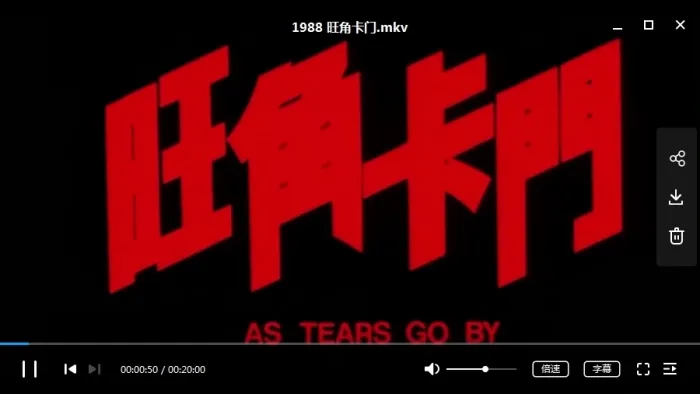 王家卫导演作品电影10部(1988-2013)[MKV/17.26GB]高清合集百度云网盘下载