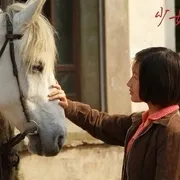 2014《少女哪吒》[汉语普通话/全1集4.73G][百度下载]